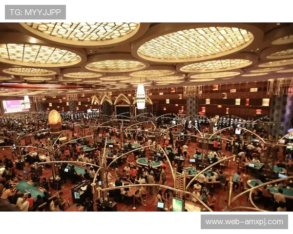 澳门新葡京娱乐官网最新优惠活动及充值返利政策全面解析与玩家福利提升