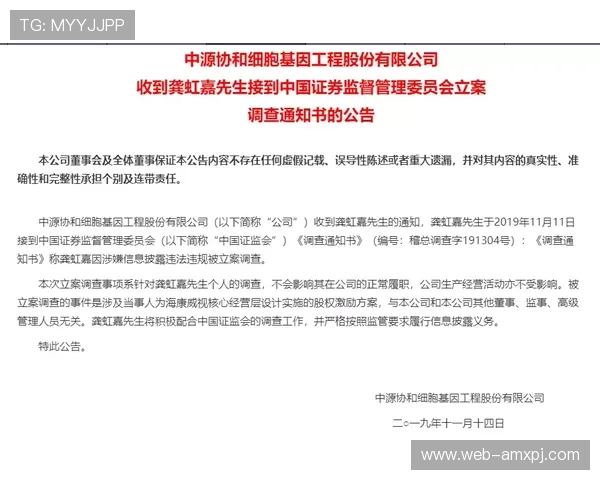 太阳城网站正规注册入口，保障玩家资金安全与游戏公平公正的最佳选择